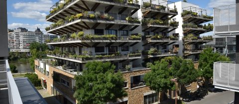 dy25 480x210 - DY25 Rive Gauche