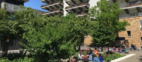 Place des Erables. Nantes (Loire-Atlantique) 05/2022 © Samoa Place des Erables. Nantes (Loire-Atlantique) 05/2022 © Samoa