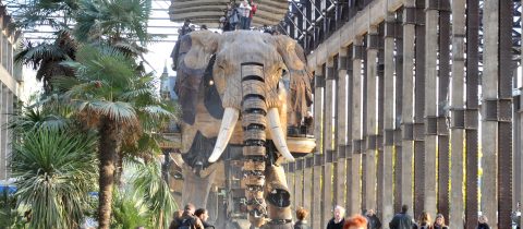 S02 JDo 03.11 2117 480x210 - Les Nefs