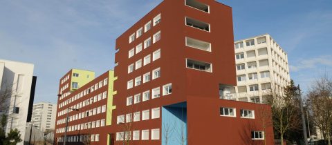 S19 01.09 JAC 031 480x210 - Les Ostryas