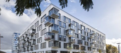 ilink 480x210 - Îlink