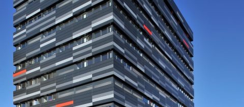 la perle noire 480x210 - La Perle Noire