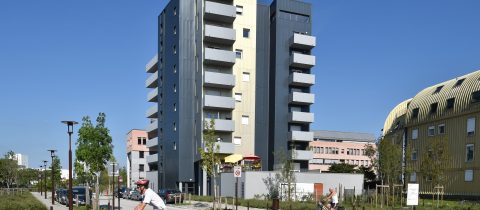 le corto 480x210 - Le Corto