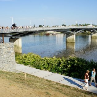 pont leopold sedar senghor 1 315x315 - Pont Léopold Sédar Senghor