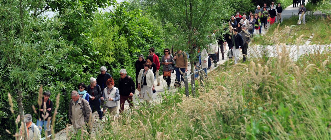 Expédition urbaine sur l'île de Nantes.