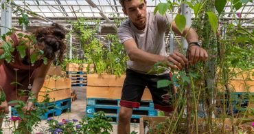 Ferme urbaine L'agronaute © Valéry Joncheray_Samoa Ferme urbaine L'agronaute © Valéry Joncheray_Samoa