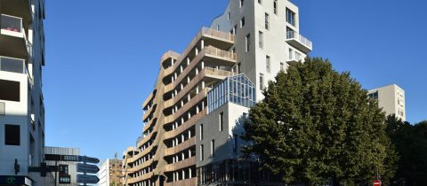 S17 JDO 09.20 161 480x210 - Néo Verde