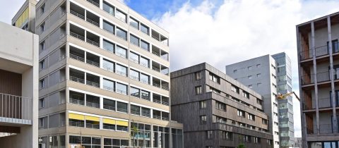 S21 04.24 JAC.009 scaled 480x210 - Joïa