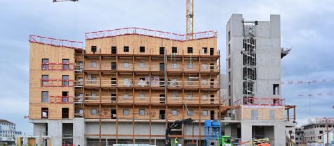 S14 03.24 JAC.186 scaled 480x210 - Be Green