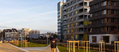 Nouveau quartier République. Jardins de l'Estuaire (Bloc A). Nantes (Loire-Atlantique) 02/2025 © IRIS Pictures/Samoa Nouveau quartier République. Jardins de l'Estuaire (Bloc A). Nantes (Loire-Atlantique) 02/2025 © IRIS Pictures/Samoa