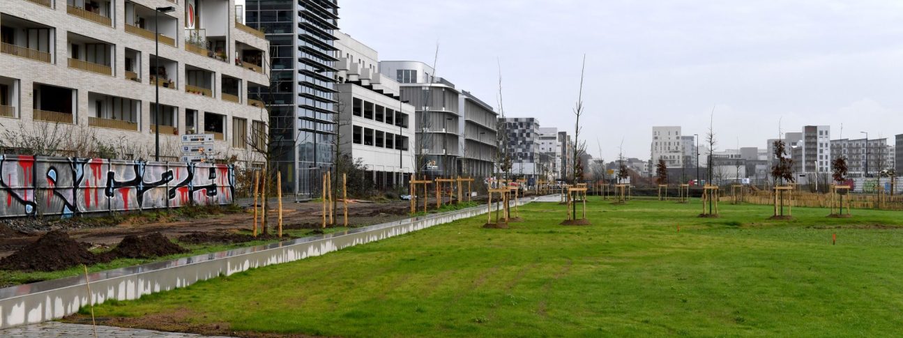 Plantation d'arbres Jardins de l'Estuaire. Nantes (Loire-Atlantique) 12/2025 © Jean-Dominique Billaud/Samoa