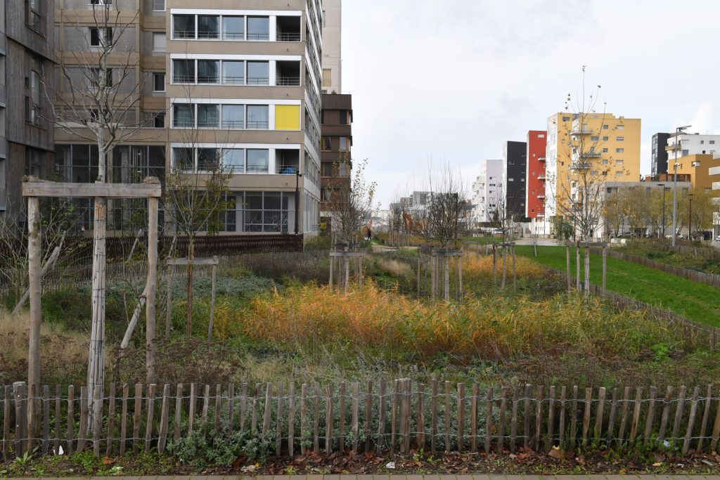 S21 20251210 0090 scaled 1024x683 - Les Jardins de l'Estuaire