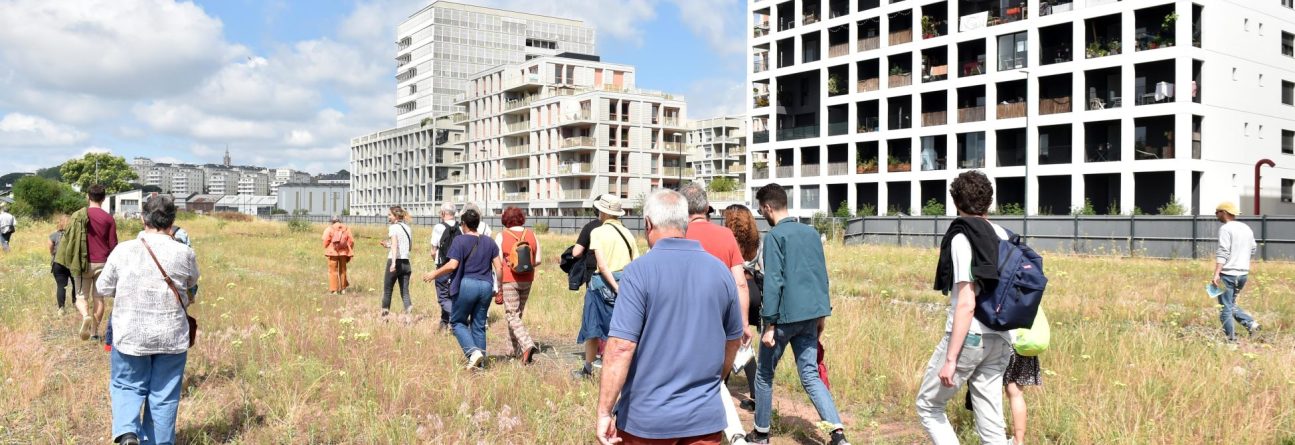 JDo 06.23 082 scaled 1295x445 - Les Jardins de l'Estuaire, un projet en concertation avec les citoyens et citoyennes