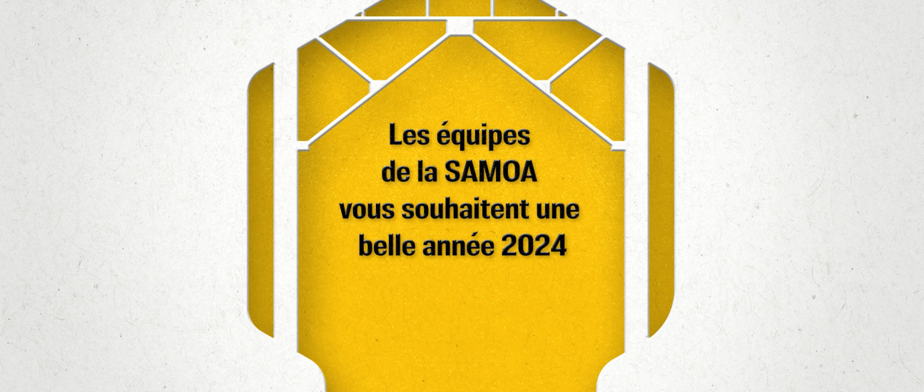 Capture decran 2024 01 08 103049 1295x550 - 2024, une année riche en projets pour l’île de Nantes