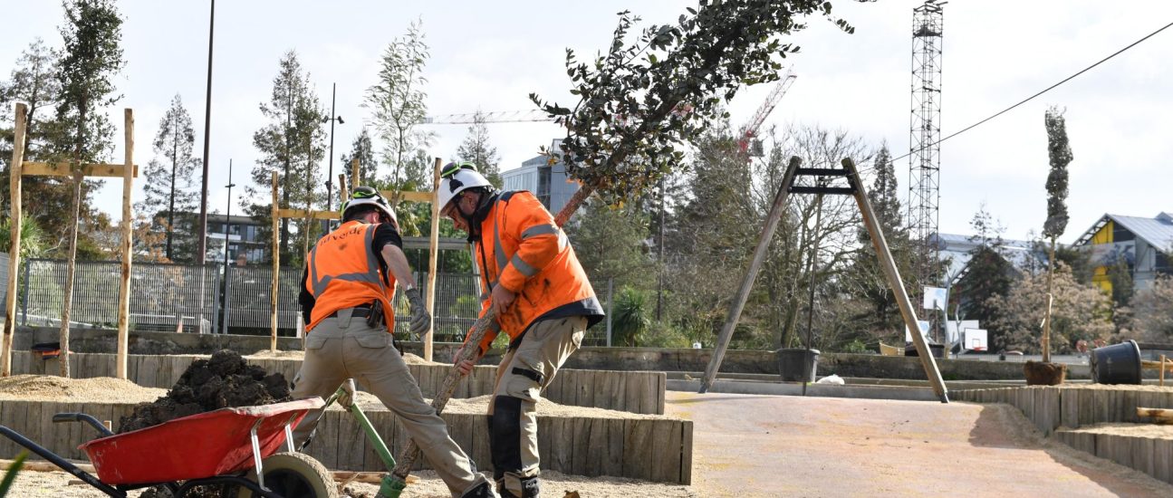 Plantation d'arbres sur le parc des Chantiers (ile de Nantes), février 2024 Plantation d'arbres sur le parc des Chantiers (ile de Nantes), février 2024