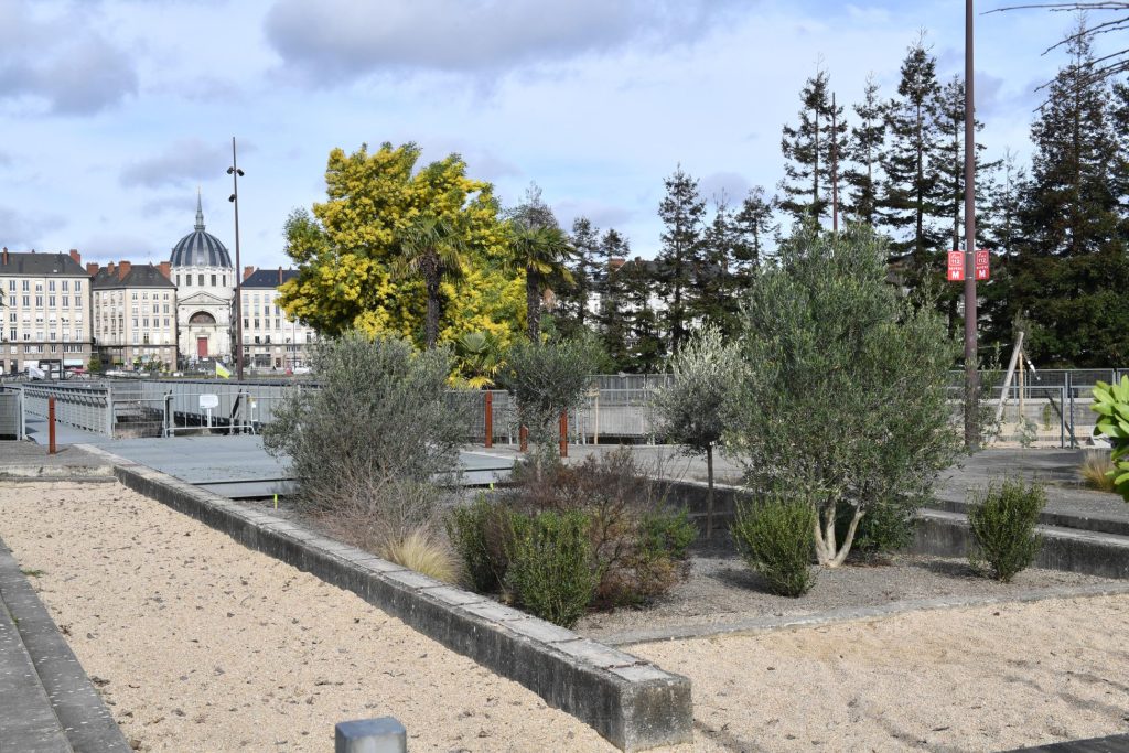 JDo 02.24 115 1 scaled 1024x683 - Le parc des Chantiers végétalisé pour lutter contre les ilots chaleur