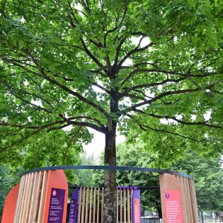 S17 07.25 JAC.091 sans femme 1 1 scaled 315x315 - Une parenthèse enchantée au cœur de l’île de Nantes