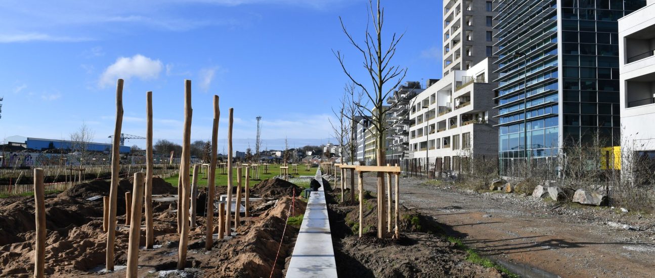Jardins de l'Estuaire. Plantation d'arbres. Nouveau quartier République. Sud-ouest de l'île de Nantes (Loire-Atlantique) 01/2026 © Jean-Dominique Billaud/Samoa Jardins de l'Estuaire. Plantation d'arbres. Nouveau quartier République. Sud-ouest de l'île de Nantes (Loire-Atlantique) 01/2026 © Jean-Dominique Billaud/Samoa