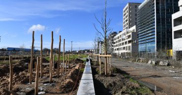Jardins de l'Estuaire. Plantation d'arbres. Nouveau quartier République. Sud-ouest de l'île de Nantes (Loire-Atlantique) 01/2026 © Jean-Dominique Billaud/Samoa Jardins de l'Estuaire. Plantation d'arbres. Nouveau quartier République. Sud-ouest de l'île de Nantes (Loire-Atlantique) 01/2026 © Jean-Dominique Billaud/Samoa