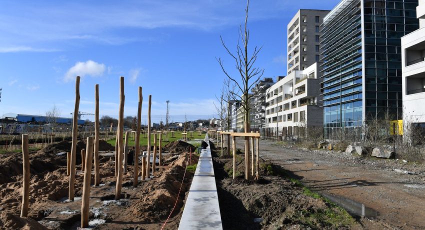 Jardins de l'Estuaire. Plantation d'arbres. Nouveau quartier République. Sud-ouest de l'île de Nantes (Loire-Atlantique) 01/2026 © Jean-Dominique Billaud/Samoa