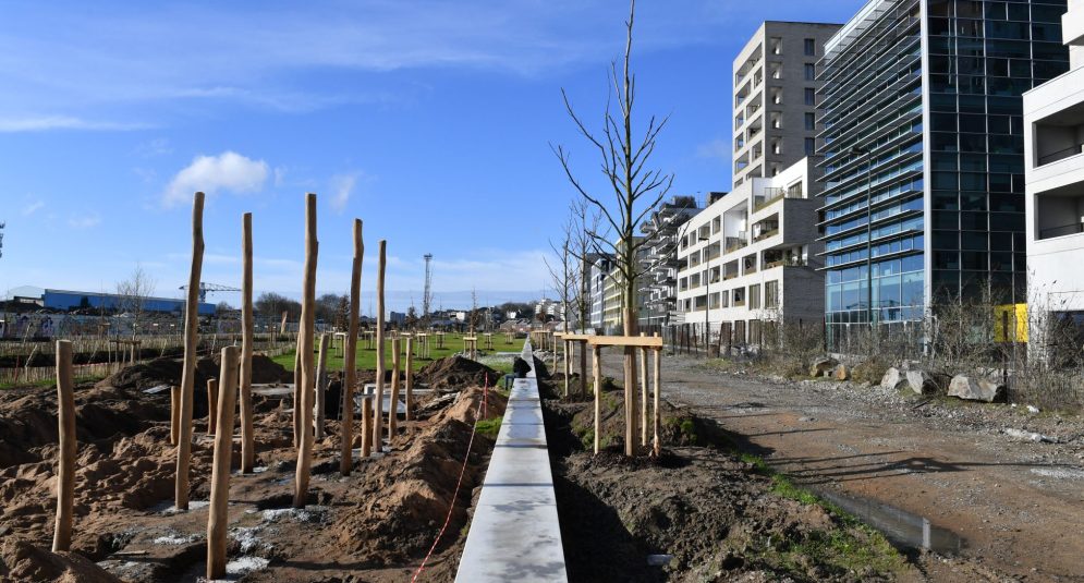 Jardins de l'Estuaire. Plantation d'arbres. Nouveau quartier République. Sud-ouest de l'île de Nantes (Loire-Atlantique) 01/2026 © Jean-Dominique Billaud/Samoa Jardins de l'Estuaire. Plantation d'arbres. Nouveau quartier République. Sud-ouest de l'île de Nantes (Loire-Atlantique) 01/2026 © Jean-Dominique Billaud/Samoa